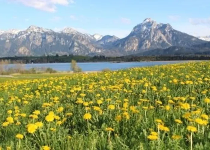 Hefele Alpsee Mit Koenigscard Lejlighed