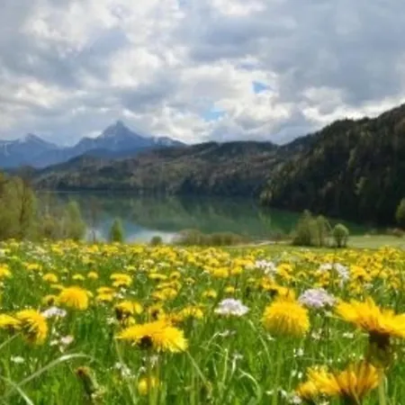 Hefele Alpsee Mit Koenigscard Хопферау