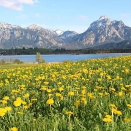 Hefele Alpsee Mit Koenigscard Апартаменты